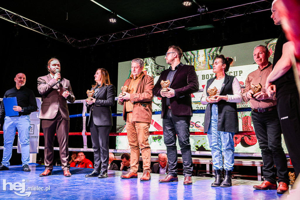 MSB Region Boxing Cup