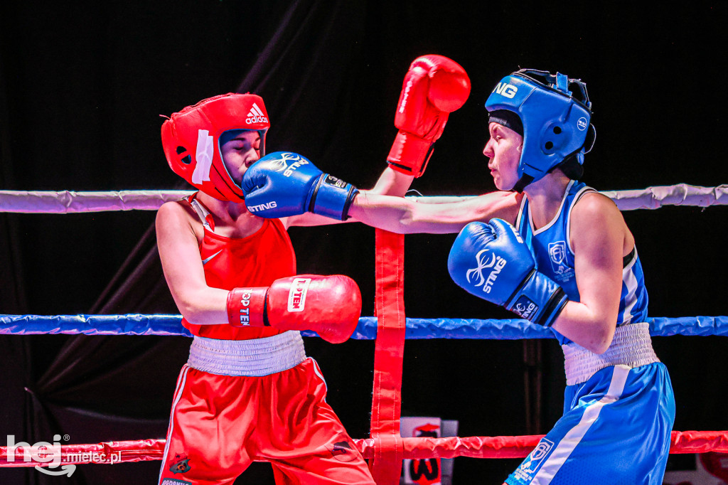 MSB Region Boxing Cup