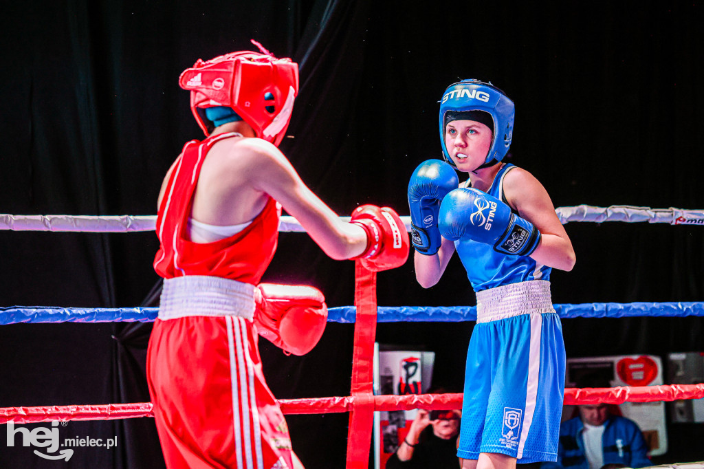 MSB Region Boxing Cup