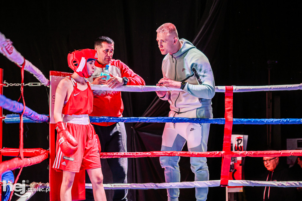 MSB Region Boxing Cup