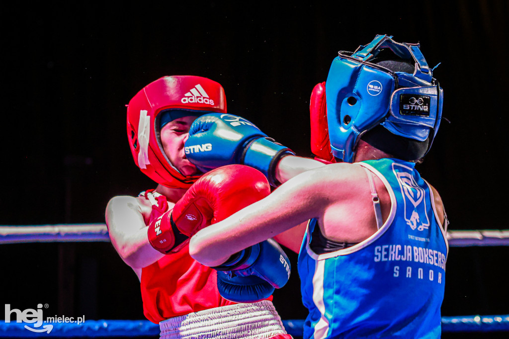MSB Region Boxing Cup