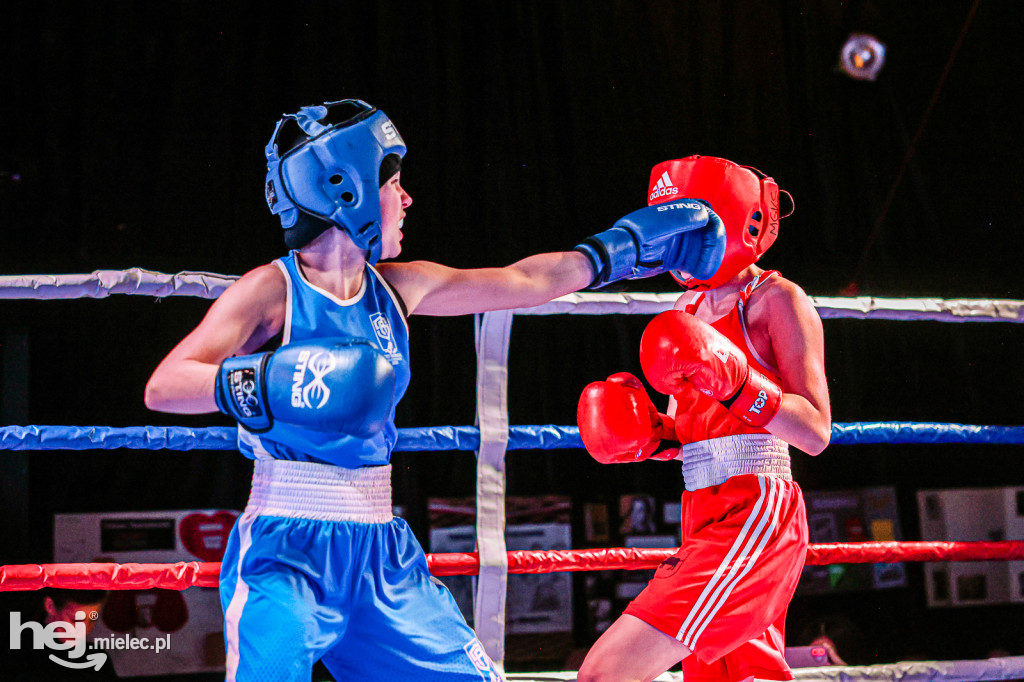 MSB Region Boxing Cup