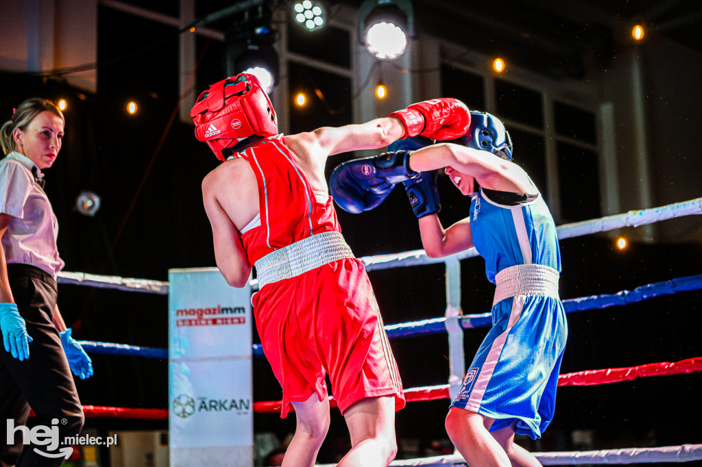 MSB Region Boxing Cup