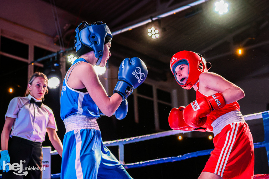 MSB Region Boxing Cup