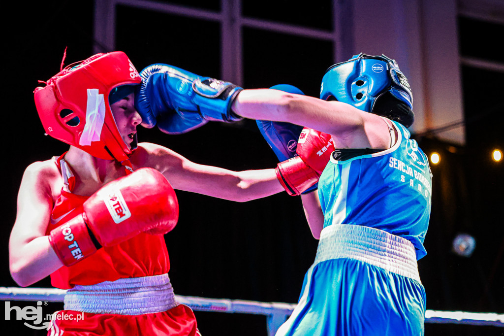 MSB Region Boxing Cup