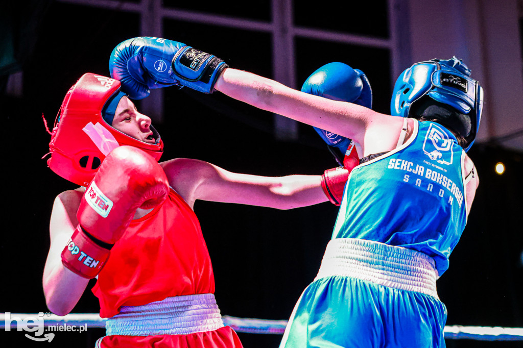 MSB Region Boxing Cup