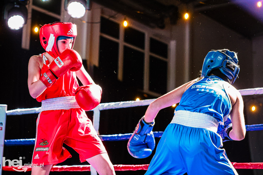 MSB Region Boxing Cup