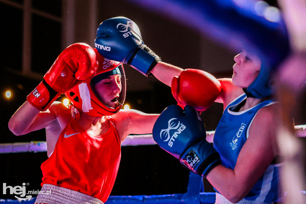 MSB Region Boxing Cup