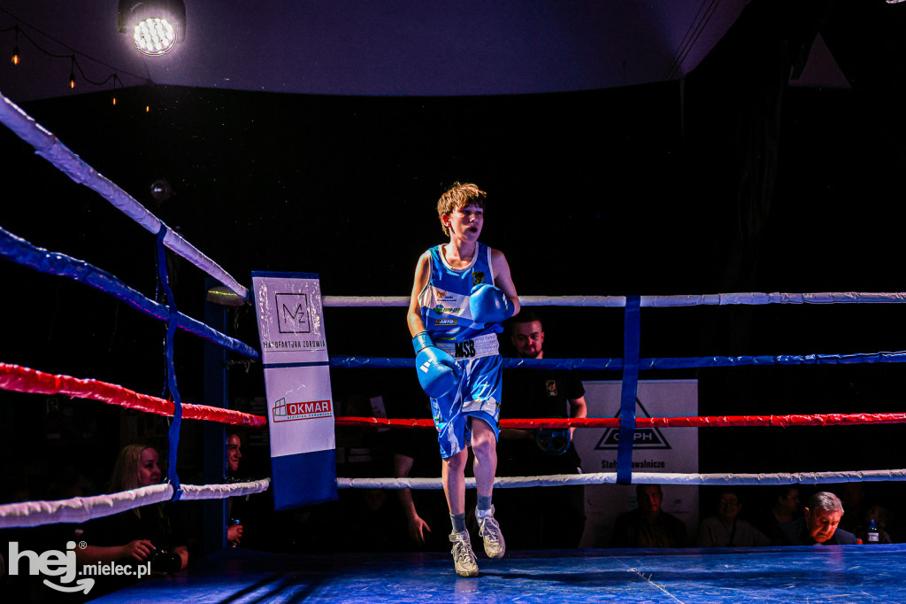 MSB Region Boxing Cup