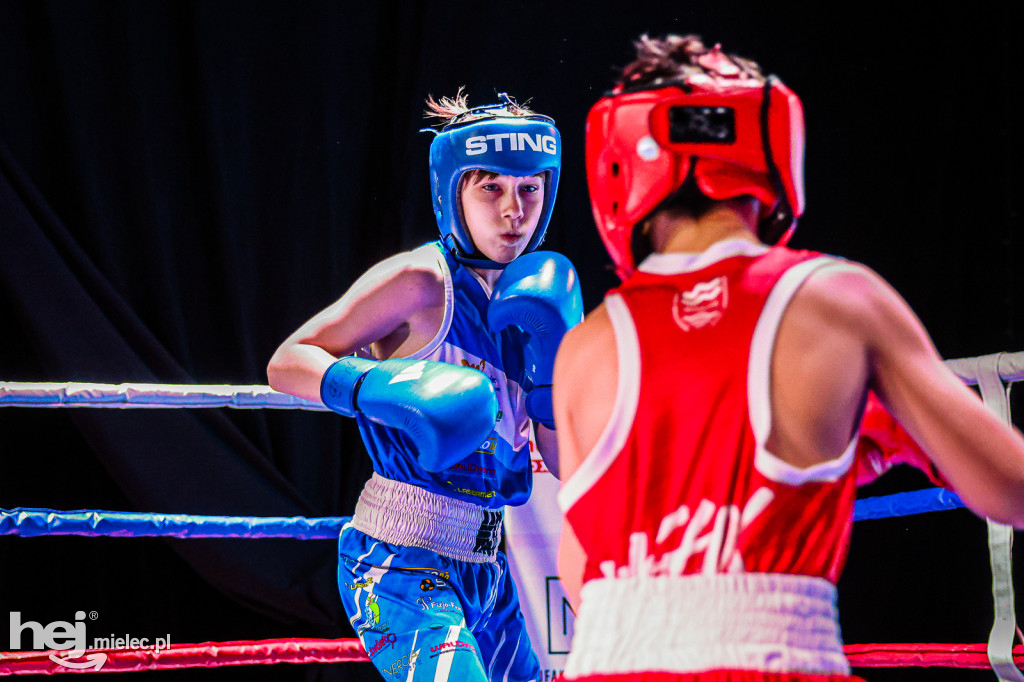 MSB Region Boxing Cup