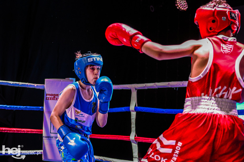 MSB Region Boxing Cup