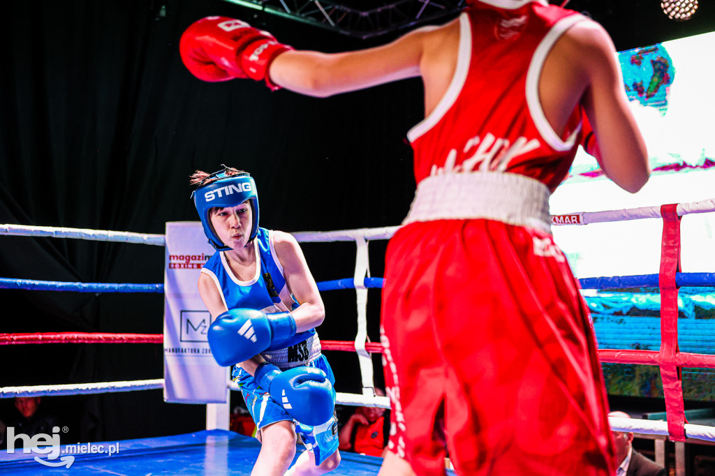 MSB Region Boxing Cup