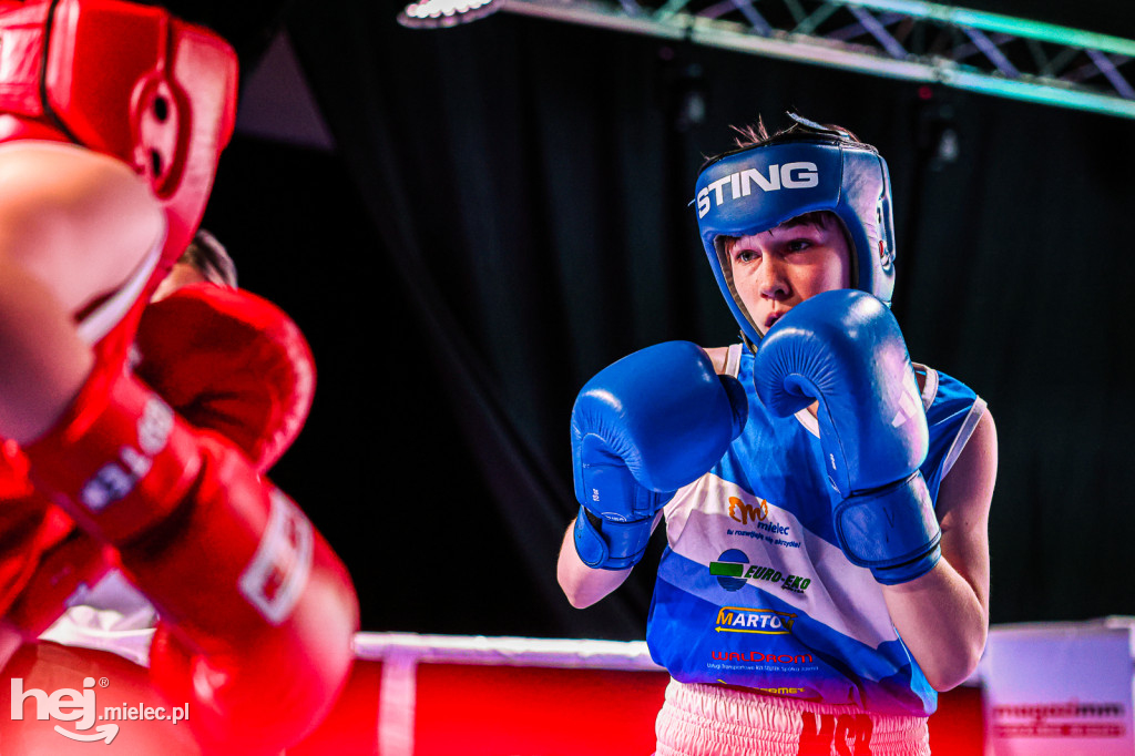 MSB Region Boxing Cup