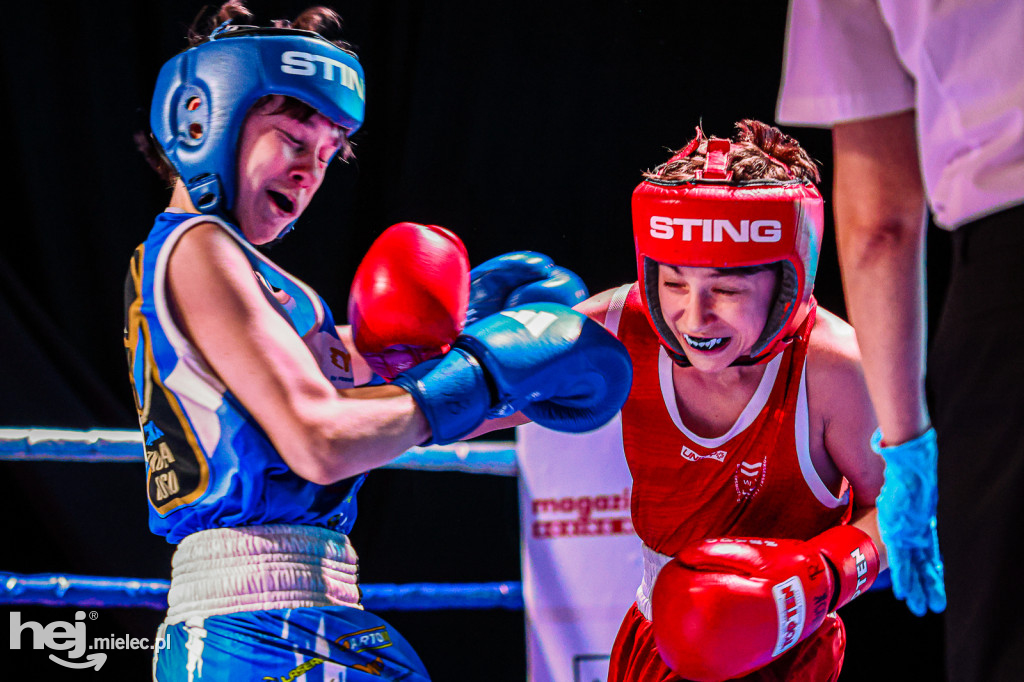 MSB Region Boxing Cup