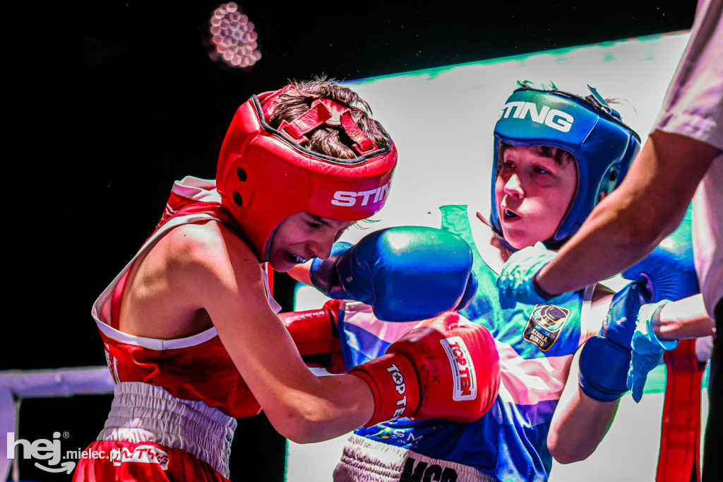 MSB Region Boxing Cup