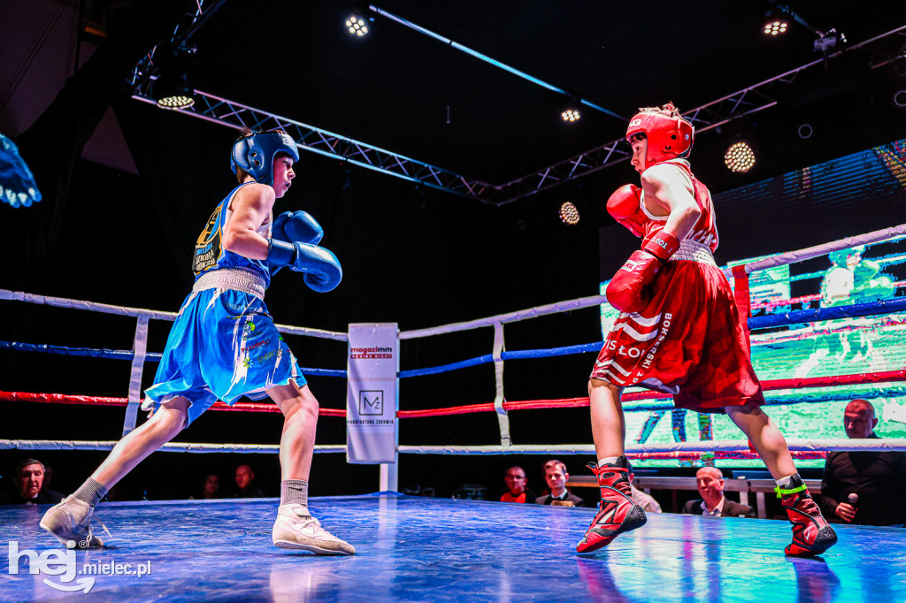 MSB Region Boxing Cup