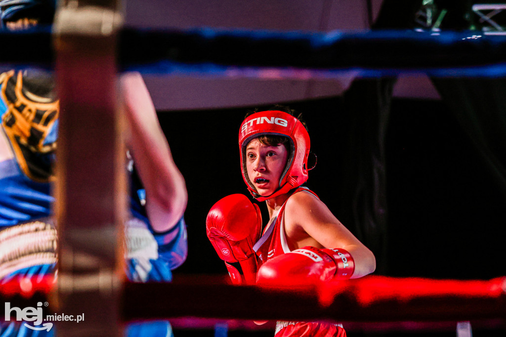 MSB Region Boxing Cup