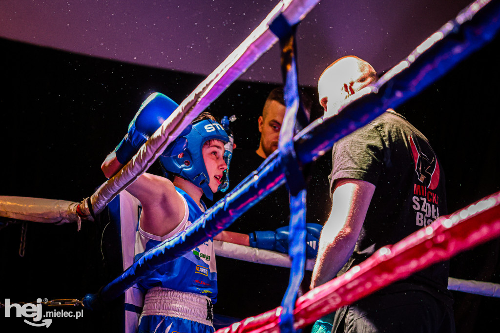 MSB Region Boxing Cup