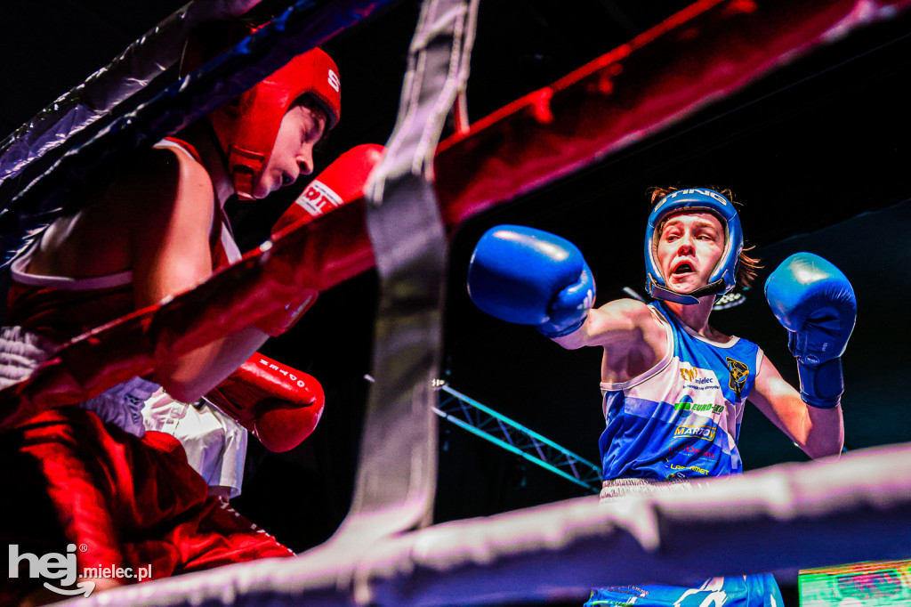 MSB Region Boxing Cup