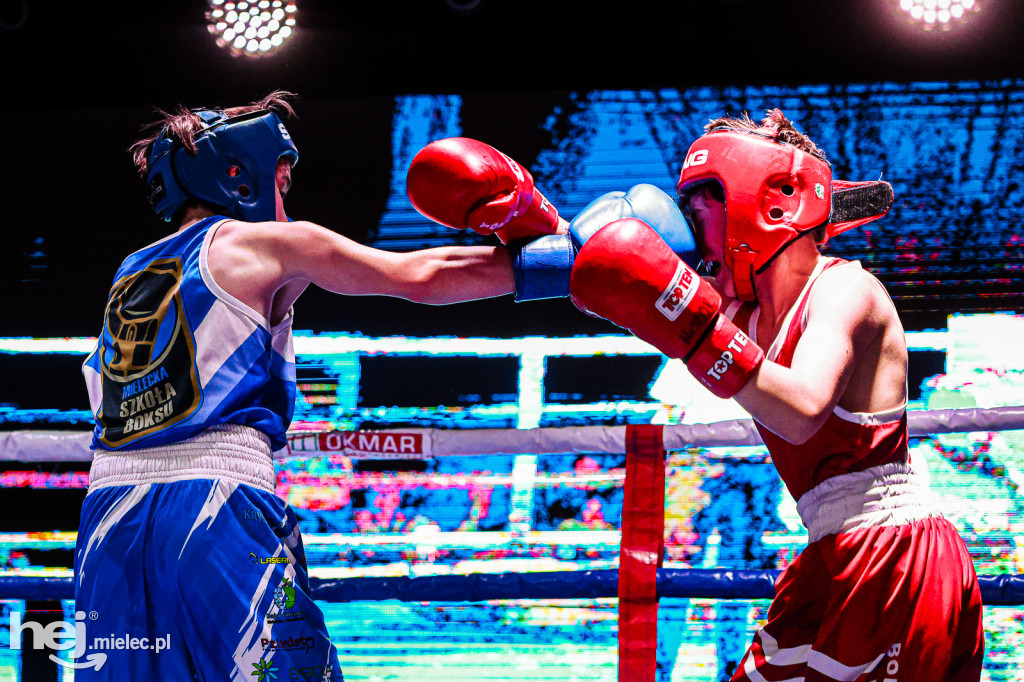 MSB Region Boxing Cup