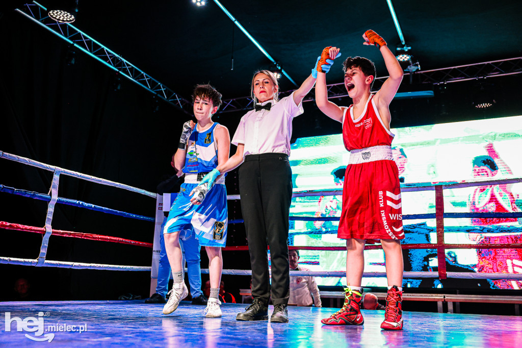 MSB Region Boxing Cup