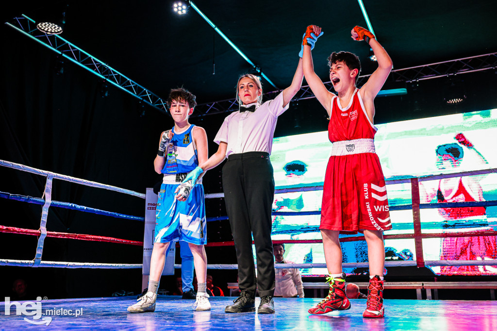 MSB Region Boxing Cup