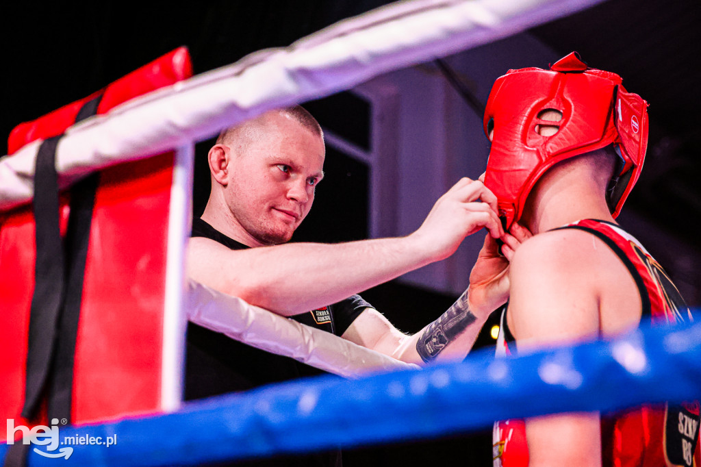 MSB Region Boxing Cup