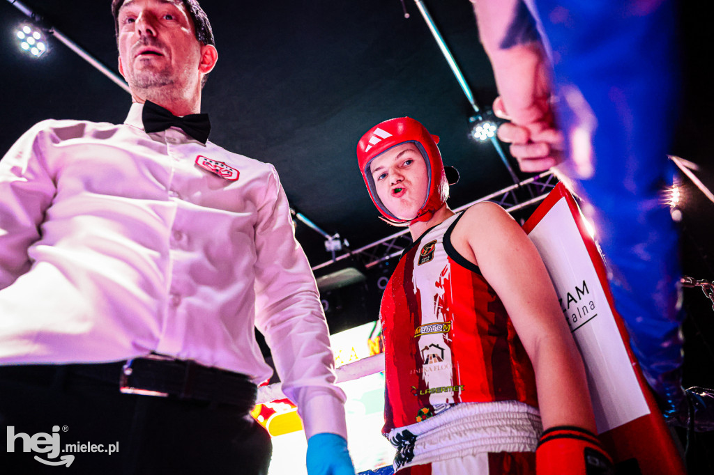 MSB Region Boxing Cup