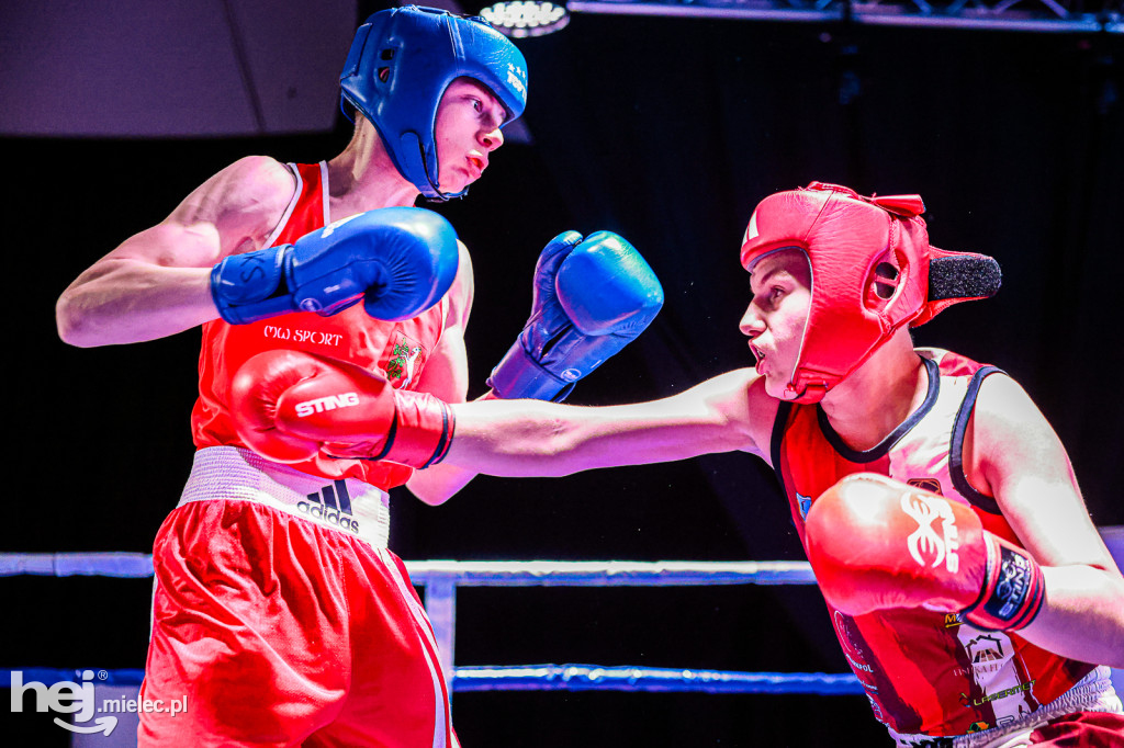 MSB Region Boxing Cup