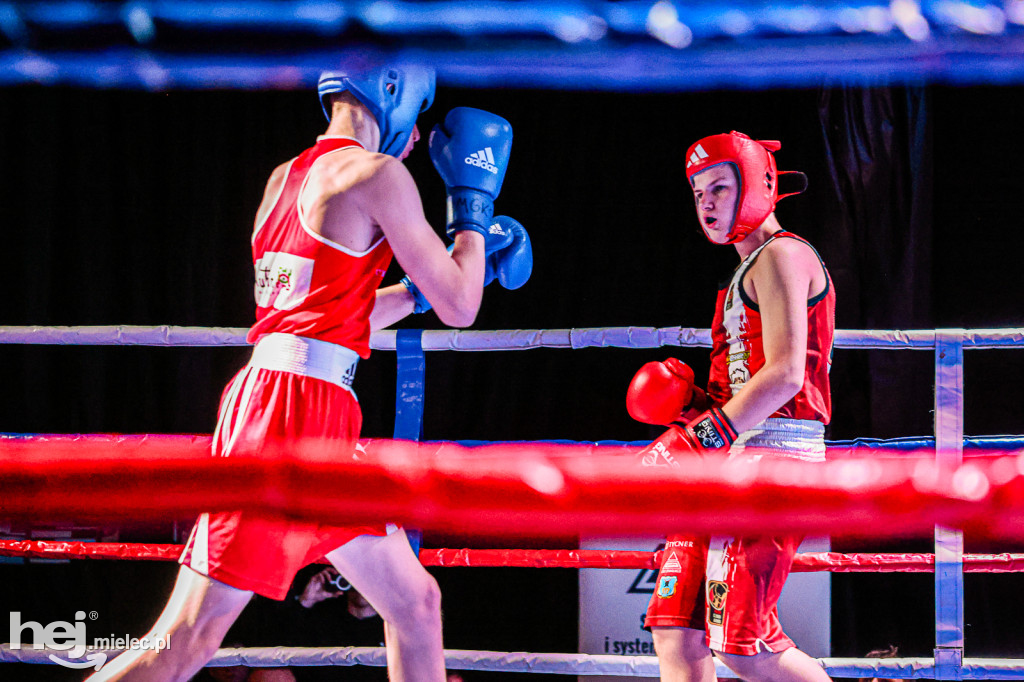 MSB Region Boxing Cup