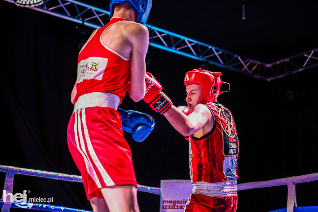 MSB Region Boxing Cup