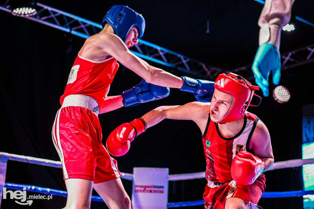 MSB Region Boxing Cup