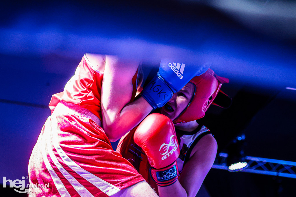 MSB Region Boxing Cup