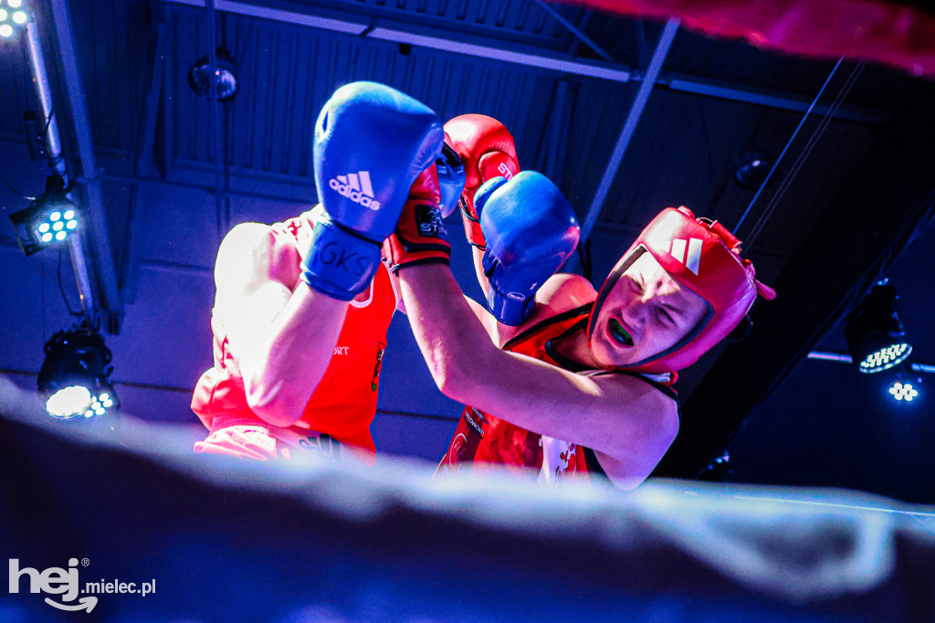 MSB Region Boxing Cup