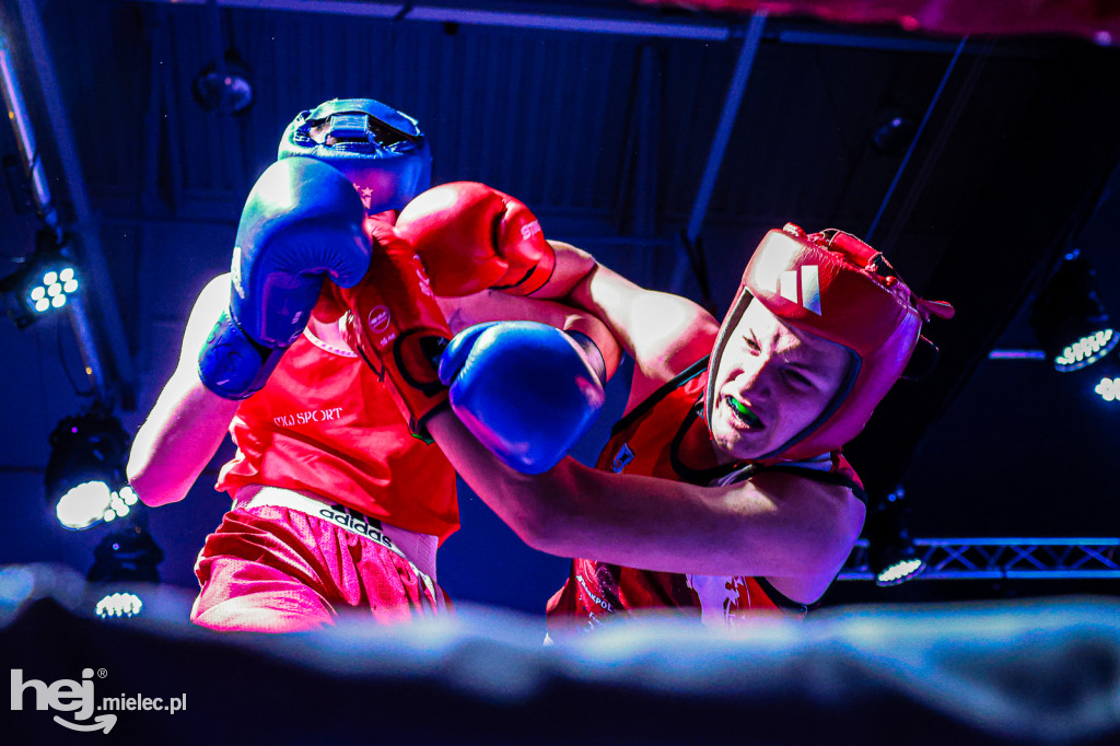 MSB Region Boxing Cup