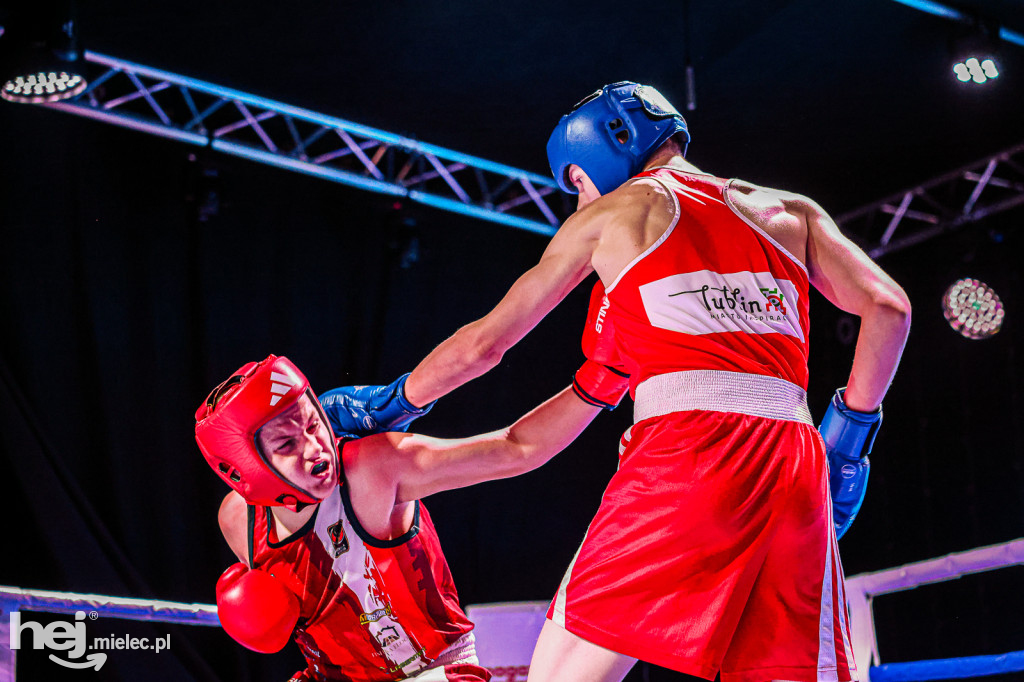 MSB Region Boxing Cup