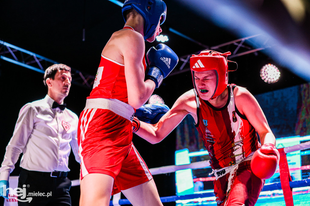 MSB Region Boxing Cup