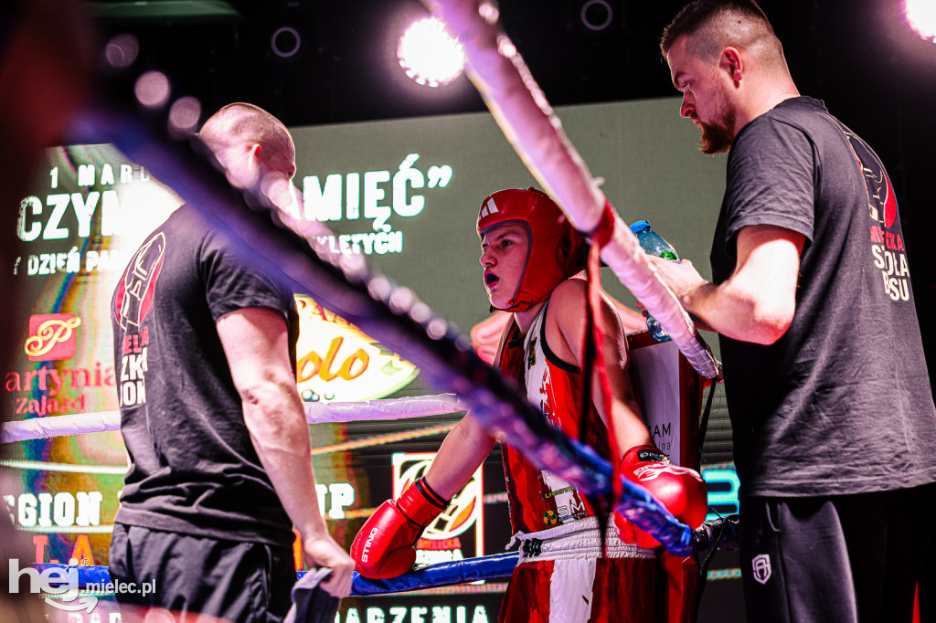 MSB Region Boxing Cup