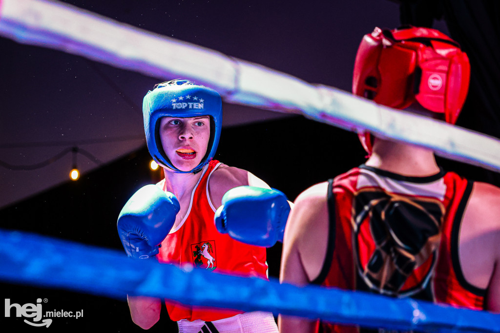 MSB Region Boxing Cup