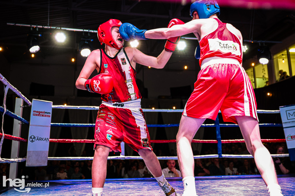 MSB Region Boxing Cup