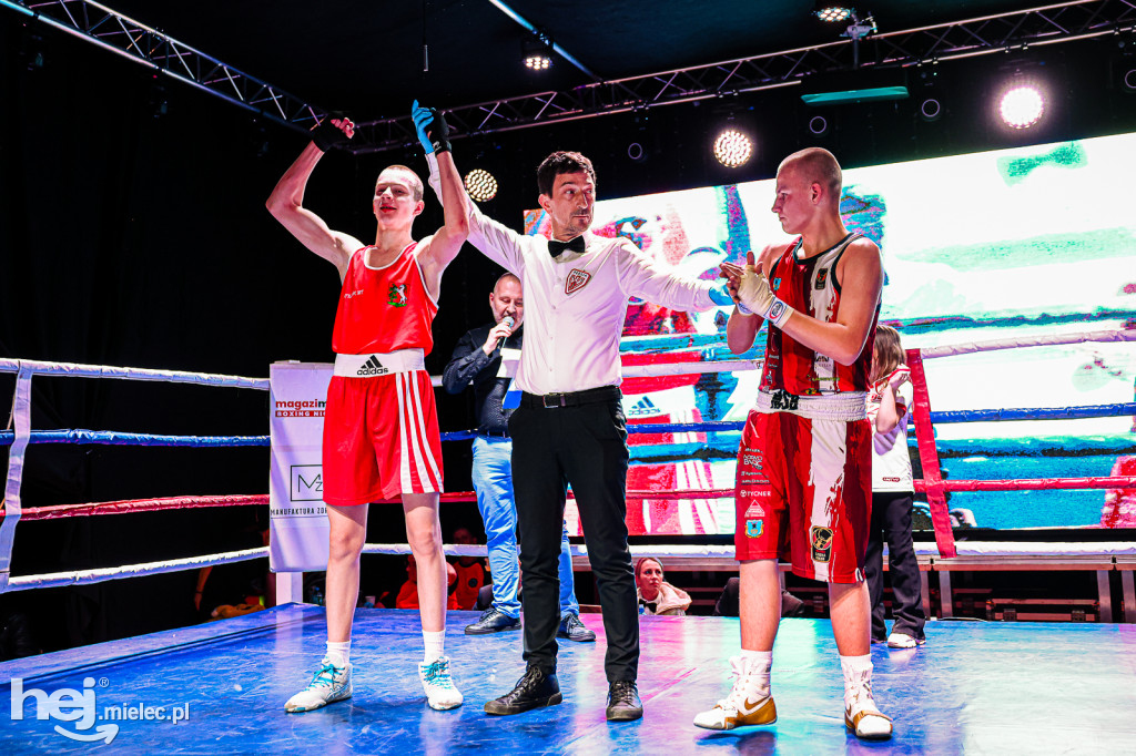 MSB Region Boxing Cup