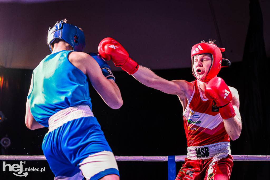 MSB Region Boxing Cup