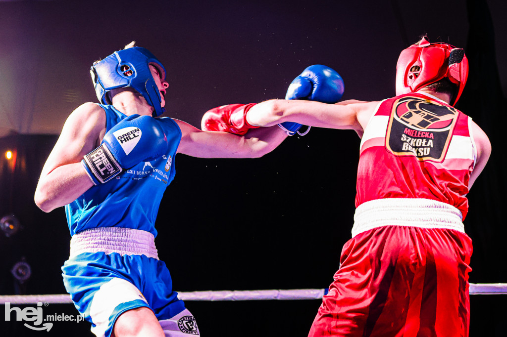 MSB Region Boxing Cup