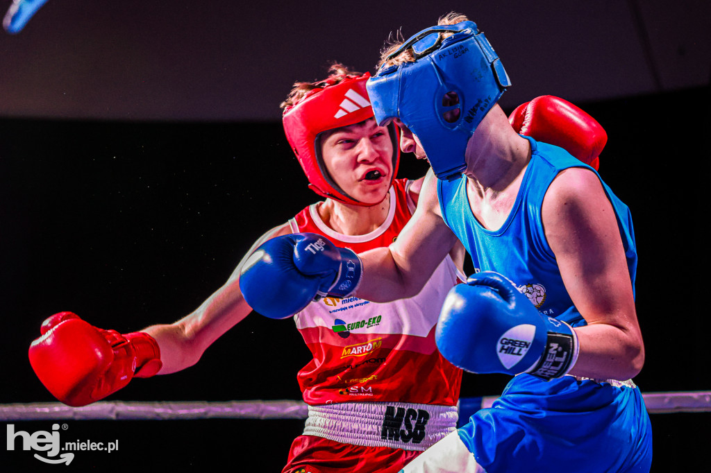 MSB Region Boxing Cup