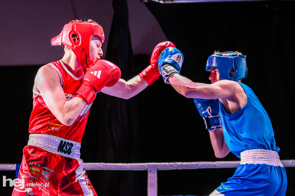 MSB Region Boxing Cup