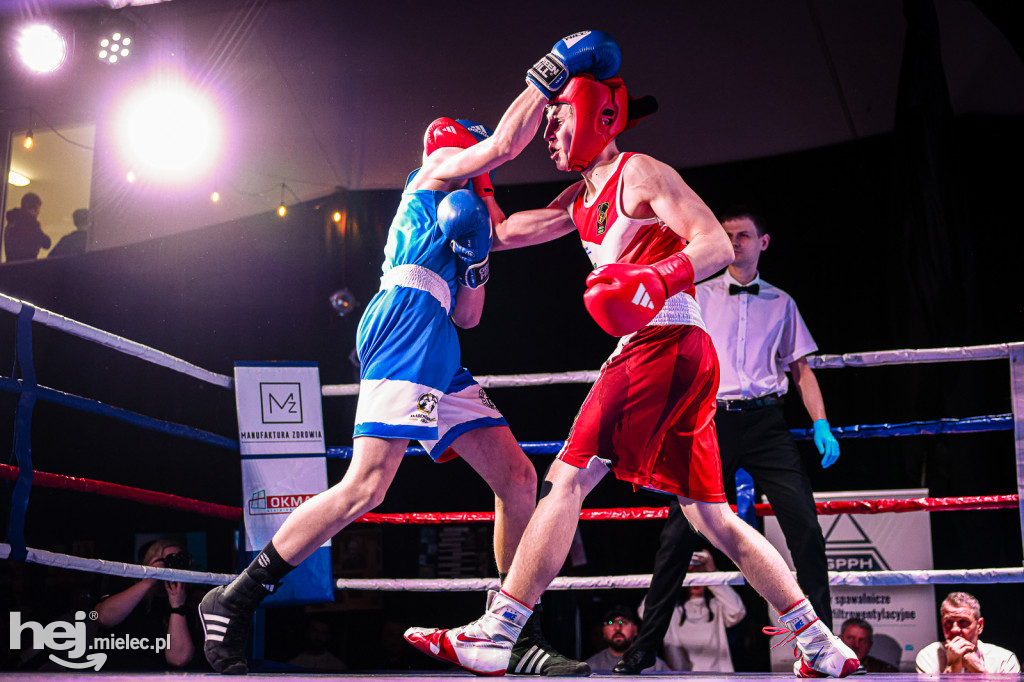 MSB Region Boxing Cup