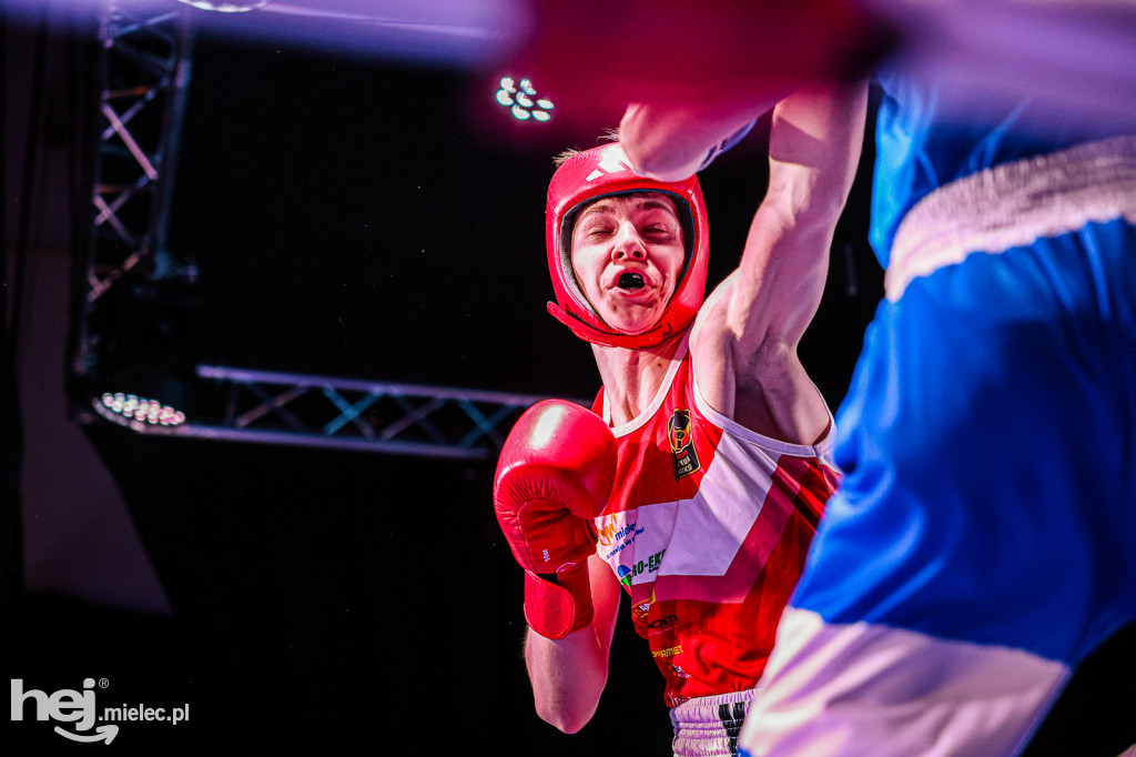 MSB Region Boxing Cup