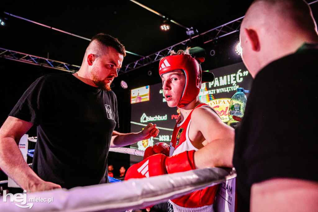 MSB Region Boxing Cup