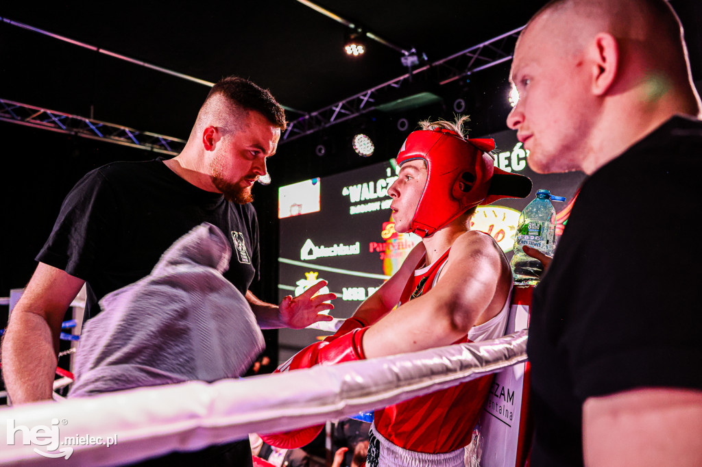 MSB Region Boxing Cup