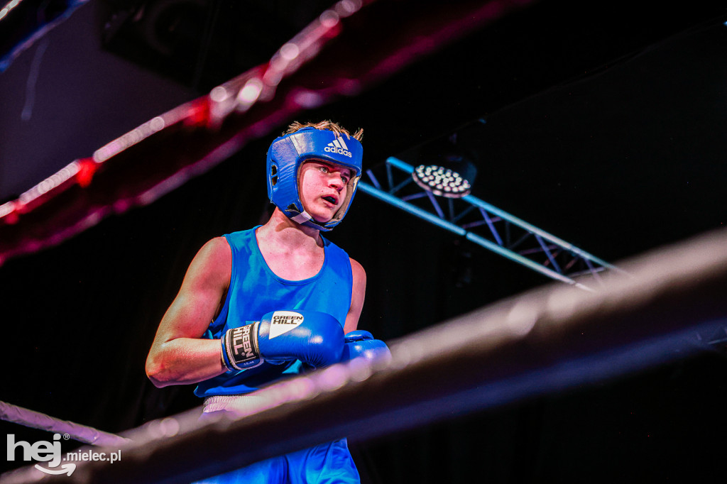 MSB Region Boxing Cup